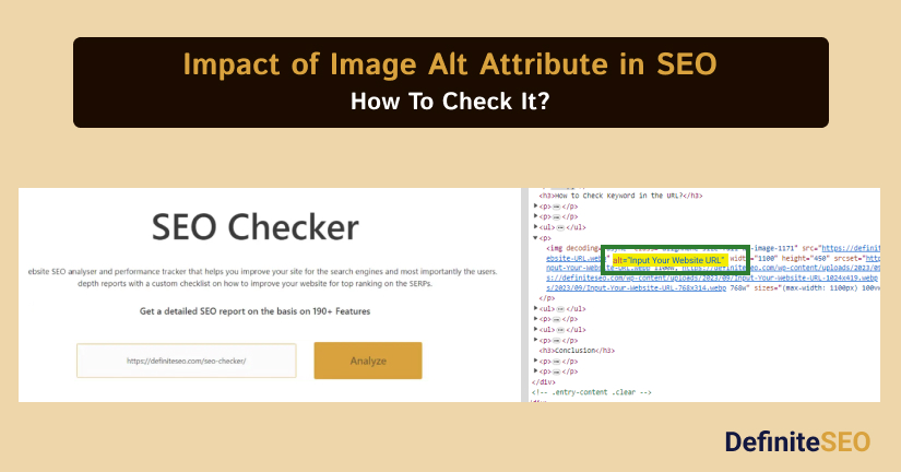 Impact of Image Alt Attribute in SEO How to Check
