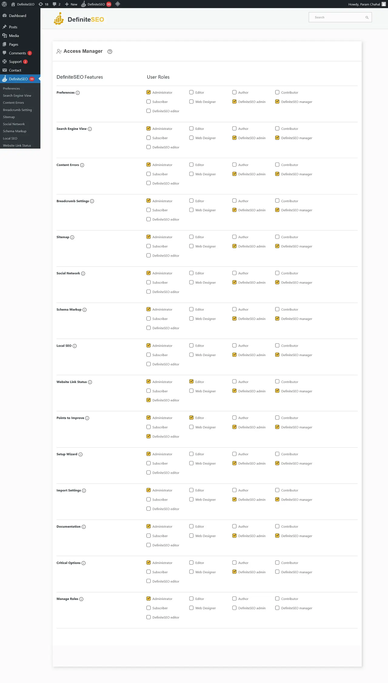 Screenshot of Access Manager Settings in DefiniteSEO WordPress Plugin UI