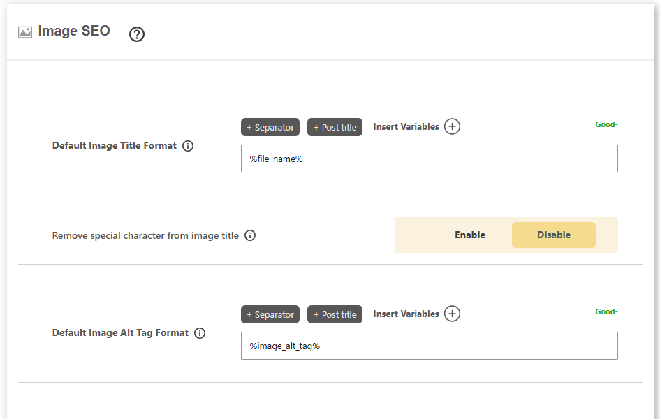 DefiniteSEO default image title and alt tag format settings