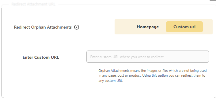 DefiniteSEO redirect orphan attachments setting