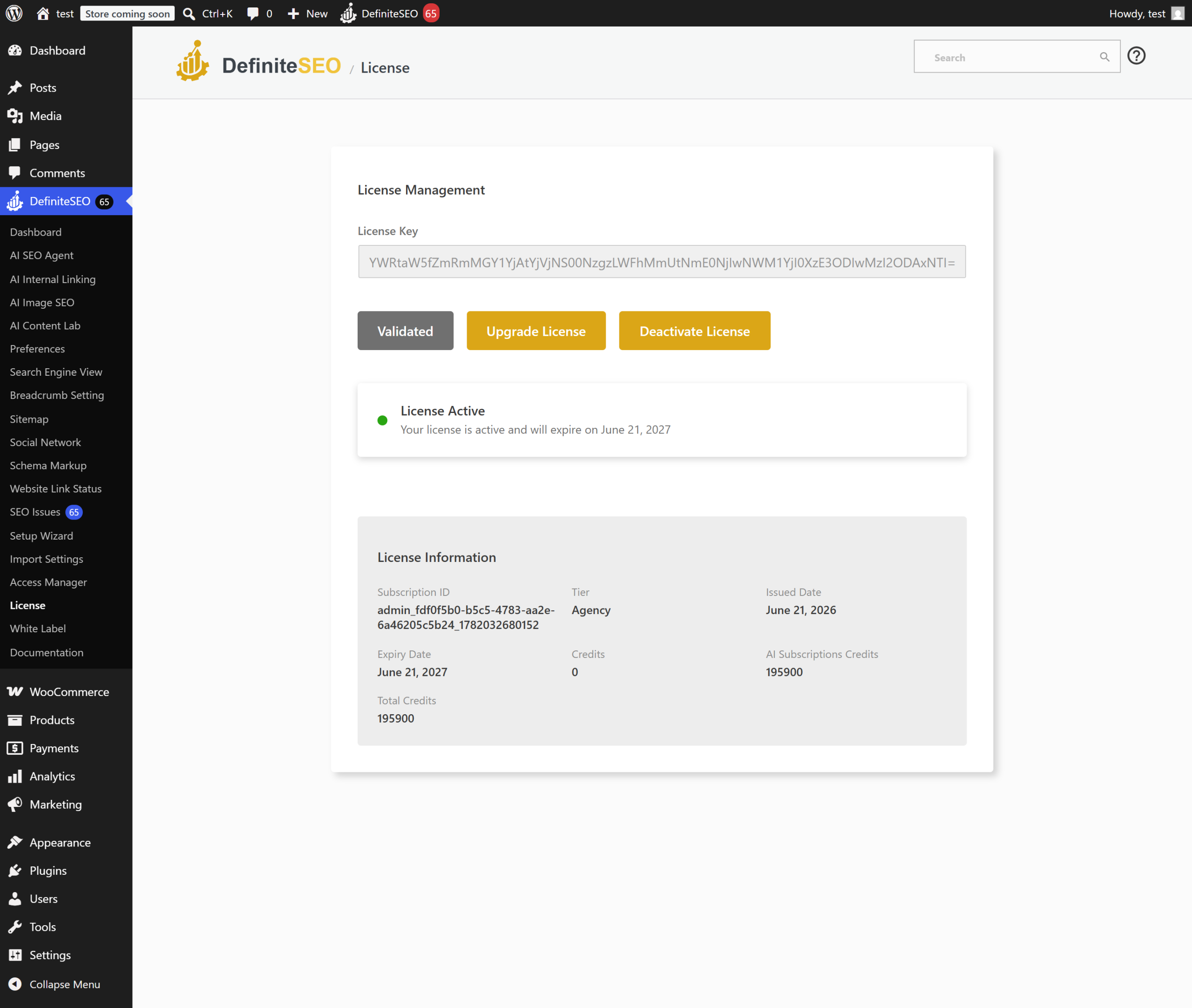 Entering the DefiniteSEO Pro license key