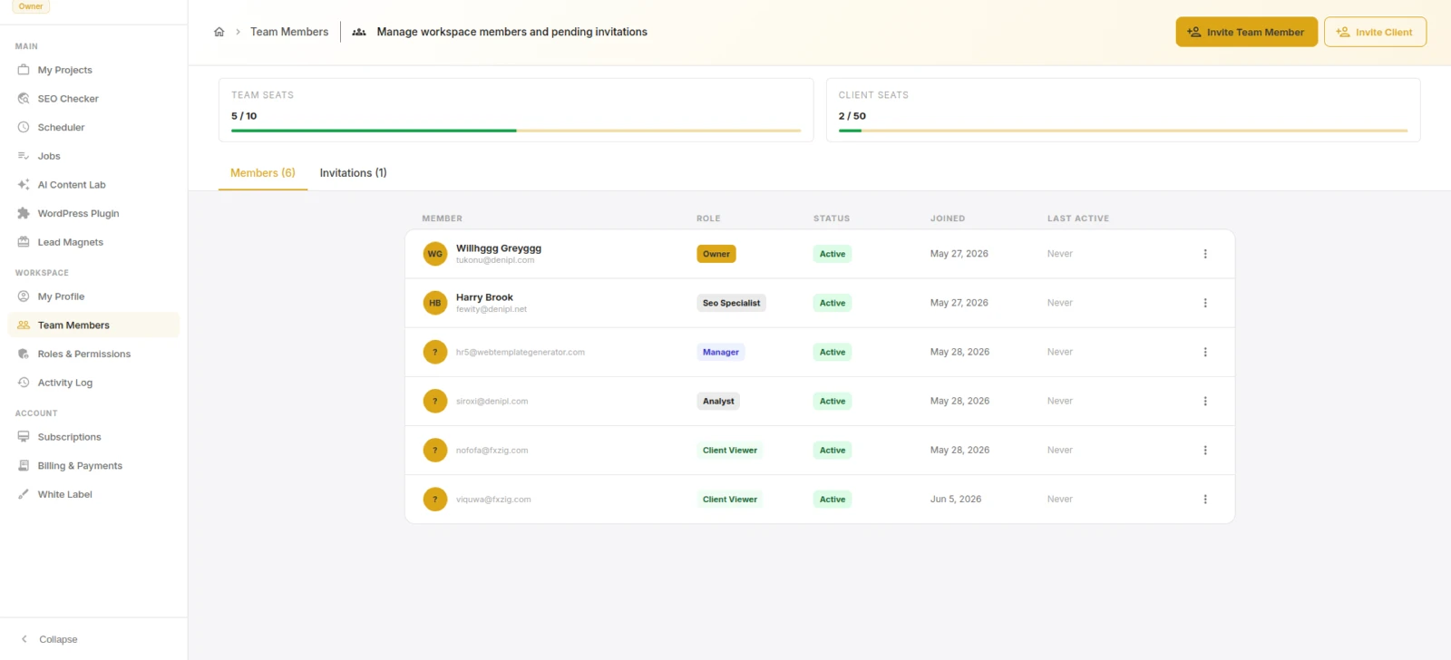 Team workspace members and roles